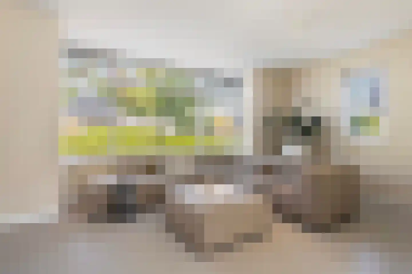 Master de Grootstrjitte 26 Damwâld thumbnail 24