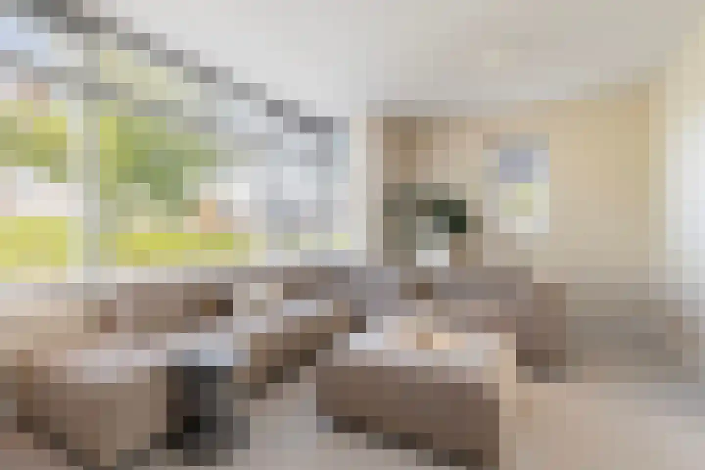 Master de Grootstrjitte 26 Damwâld thumbnail 25