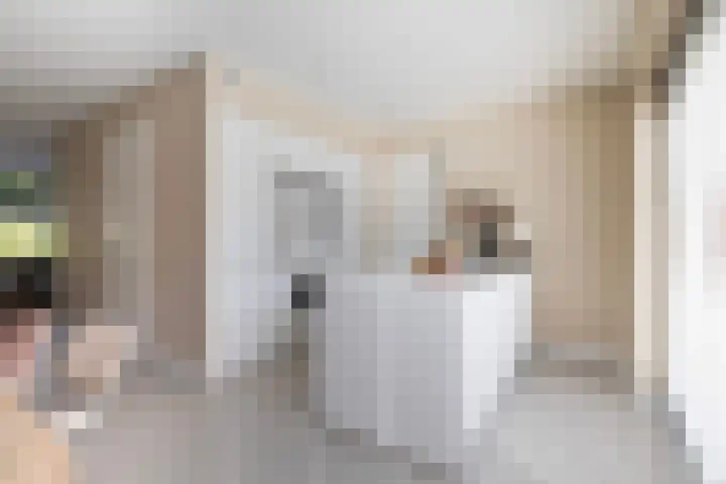 Master de Grootstrjitte 26 Damwâld thumbnail 29