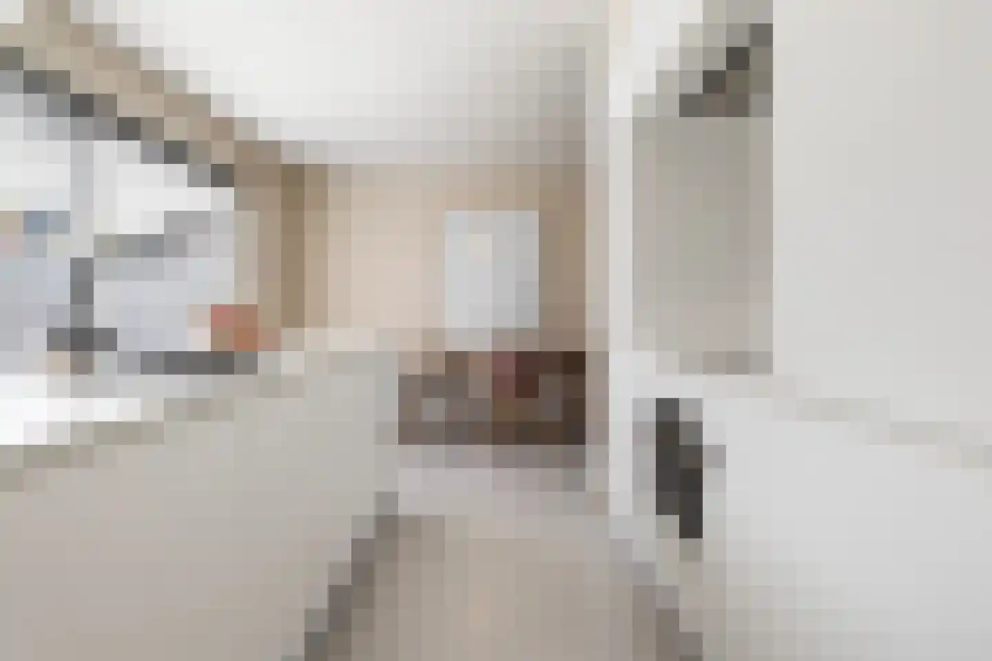 Master de Grootstrjitte 26 Damwâld thumbnail 30