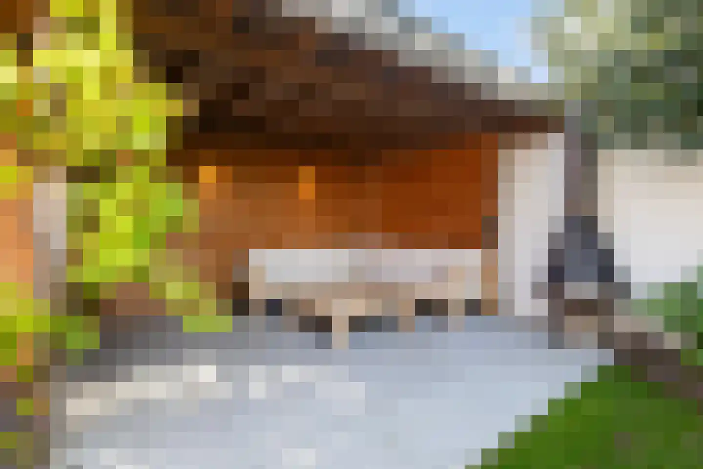 Master de Grootstrjitte 26 Damwâld thumbnail 35