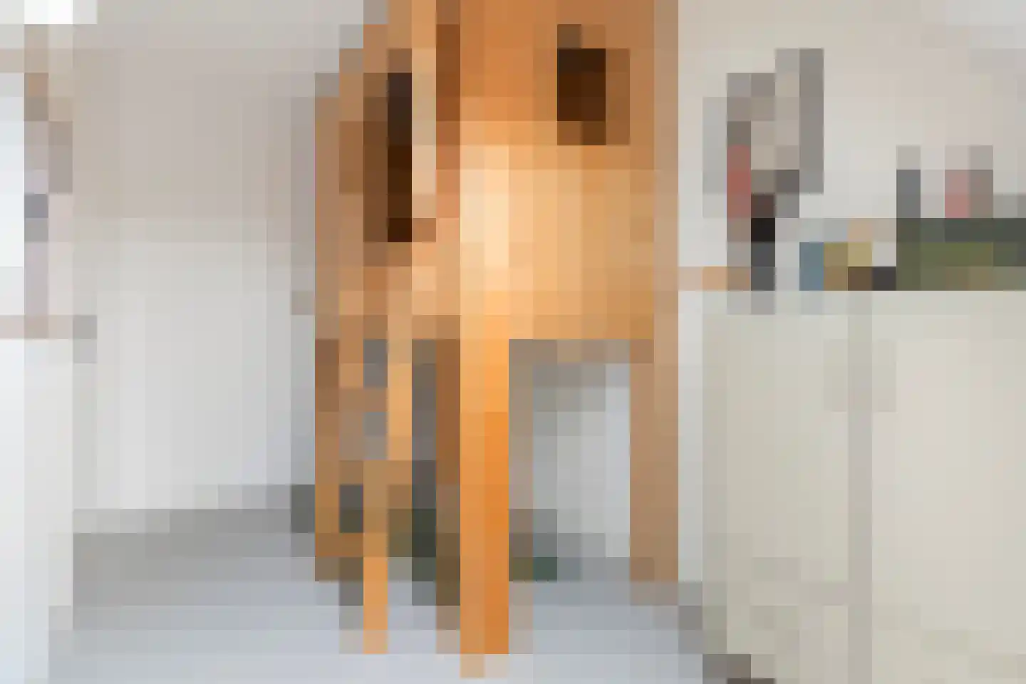 Master de Grootstrjitte 26 Damwâld thumbnail 58