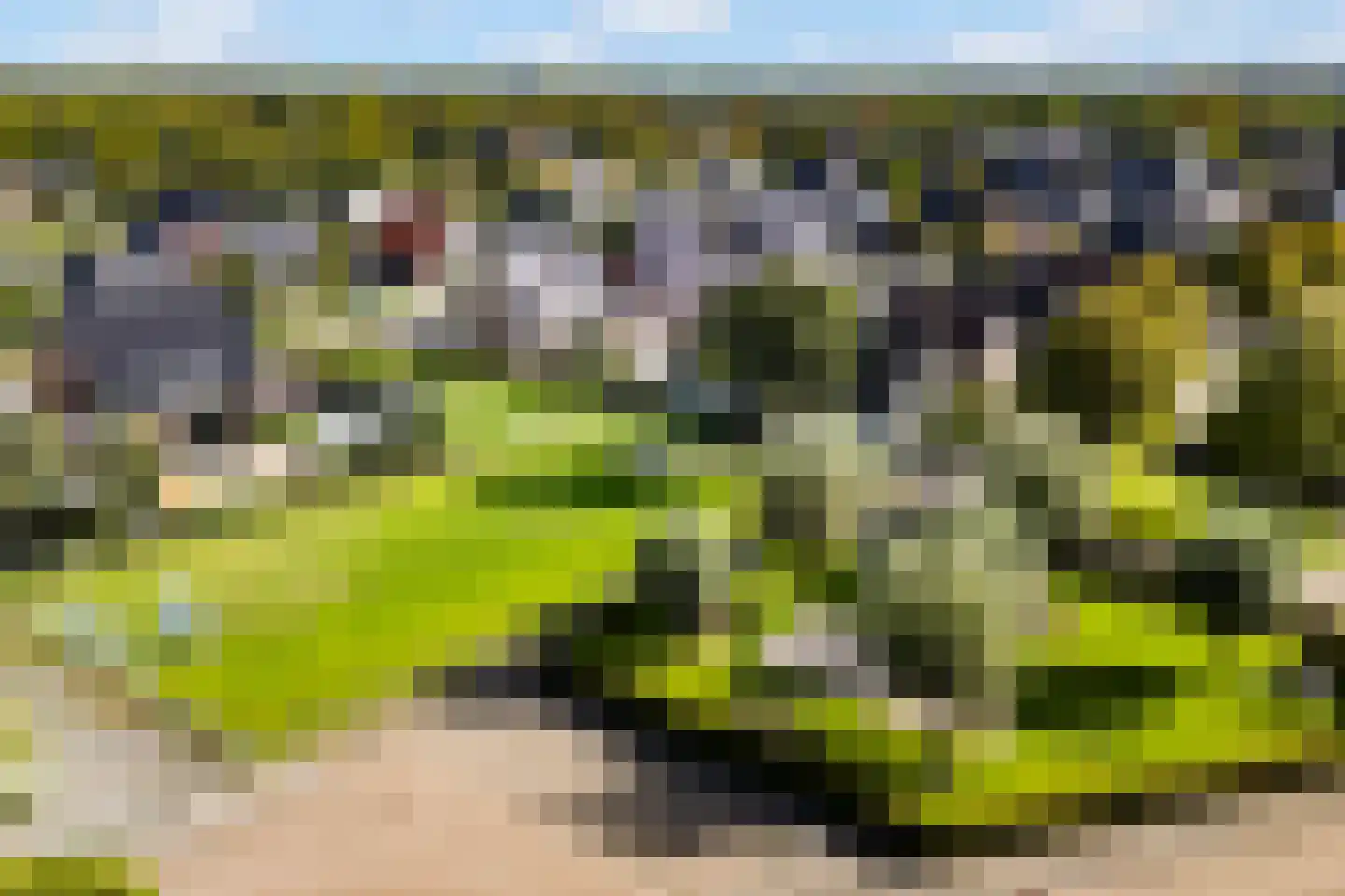 Master de Grootstrjitte 26 Damwâld thumbnail 6