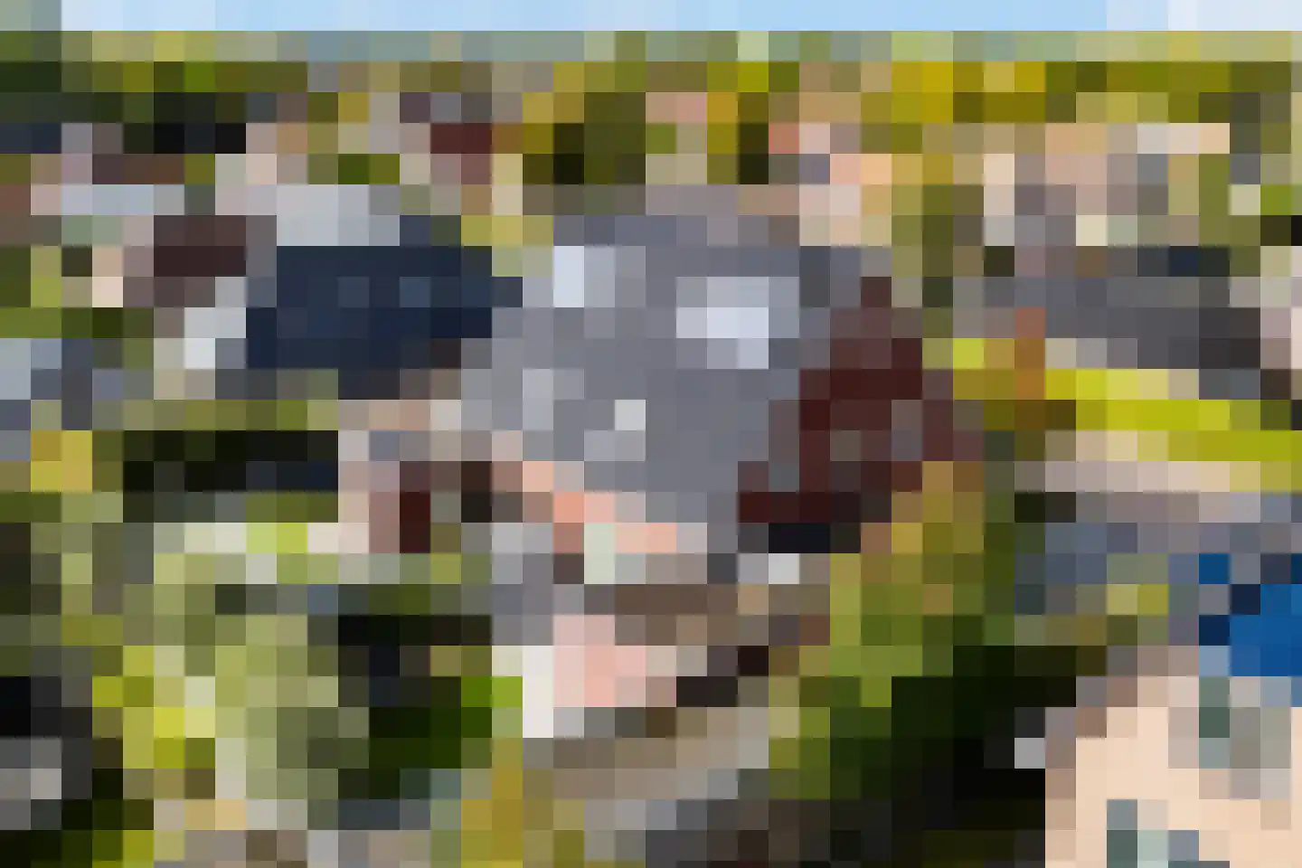Master de Grootstrjitte 26 Damwâld thumbnail 7