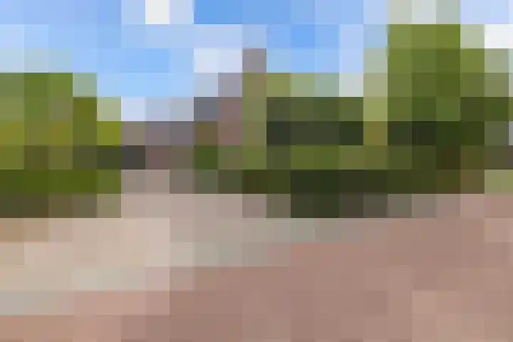 Master de Jongwei 12 De Tike thumbnail 10