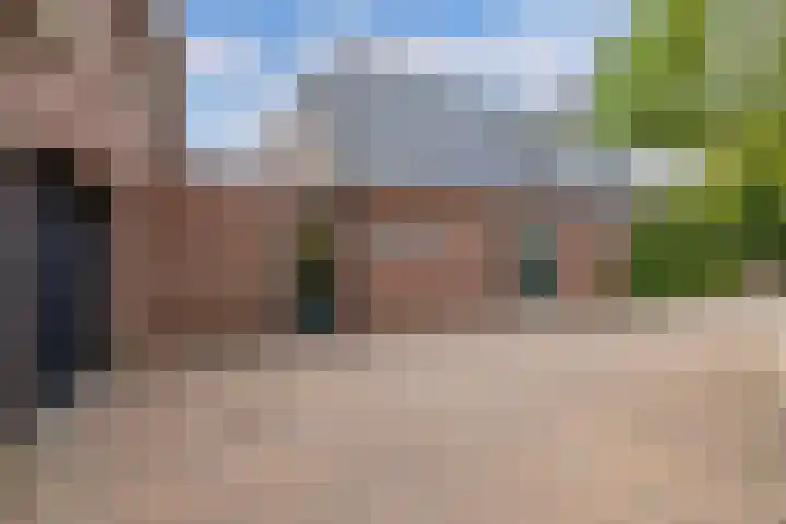 Master de Jongwei 12 De Tike thumbnail 11