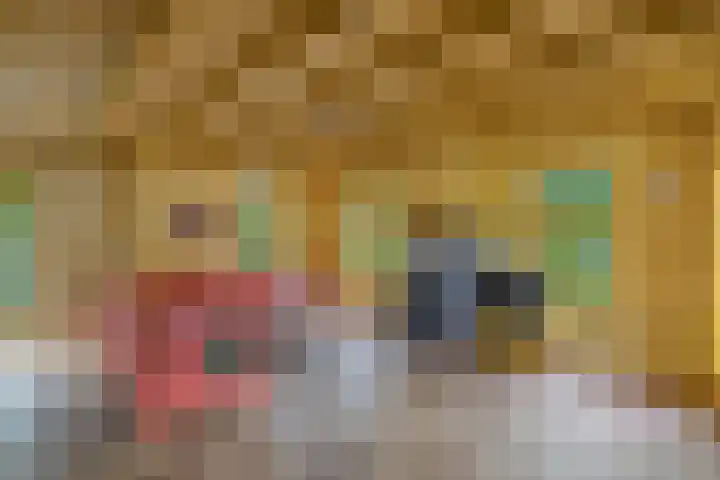 Master de Jongwei 12 De Tike thumbnail 15