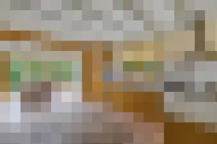 Master de Jongwei 12 De Tike thumbnail 20