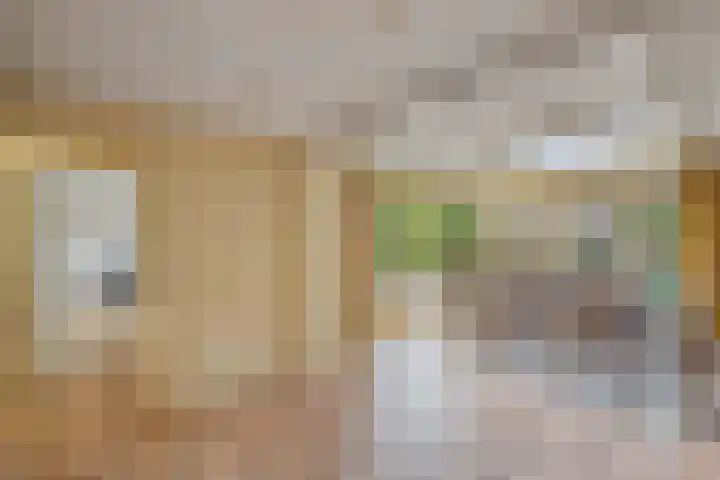 Master de Jongwei 12 De Tike thumbnail 22