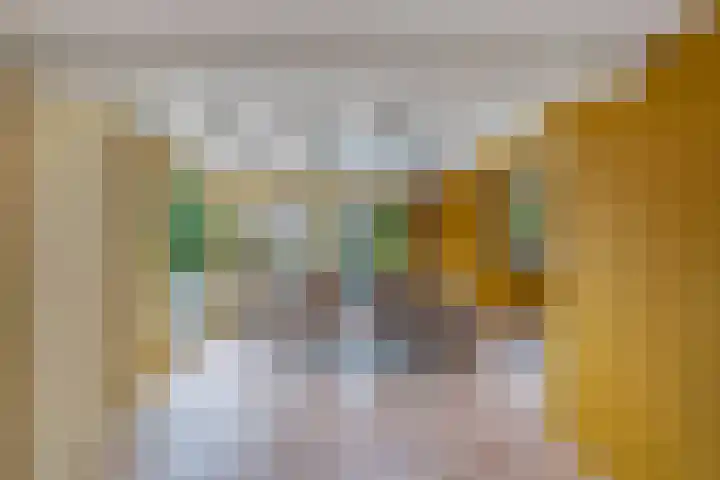 Master de Jongwei 12 De Tike thumbnail 24