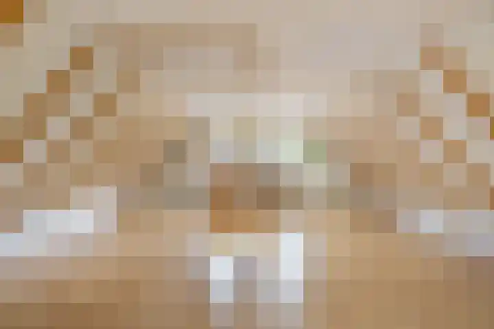 Master de Jongwei 12 De Tike thumbnail 37