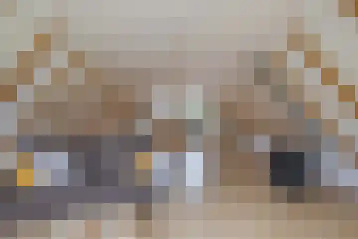 Master de Jongwei 12 De Tike thumbnail 39