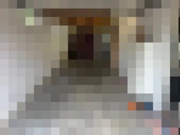 Master de Jongwei 12 De Tike thumbnail 41
