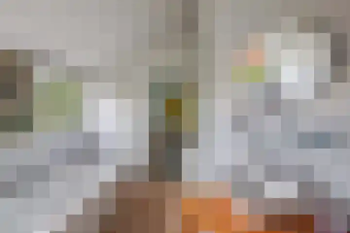 Master de Jongwei 12 De Tike thumbnail 51