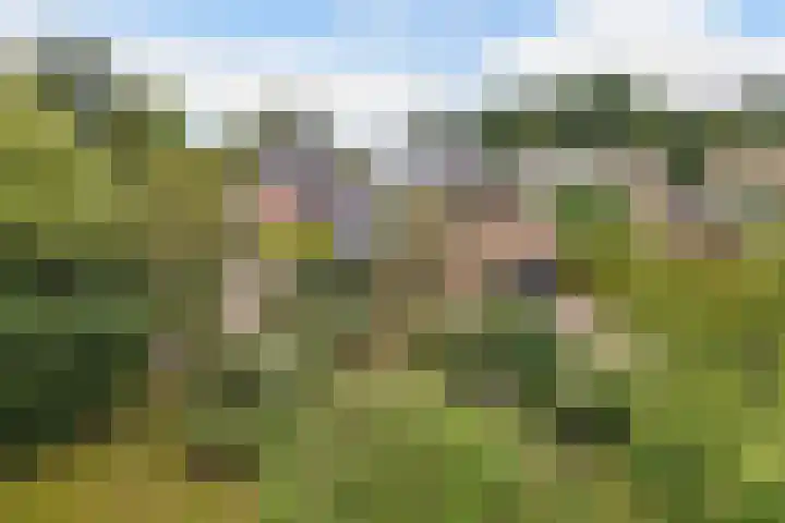 Master de Jongwei 12 De Tike thumbnail 56