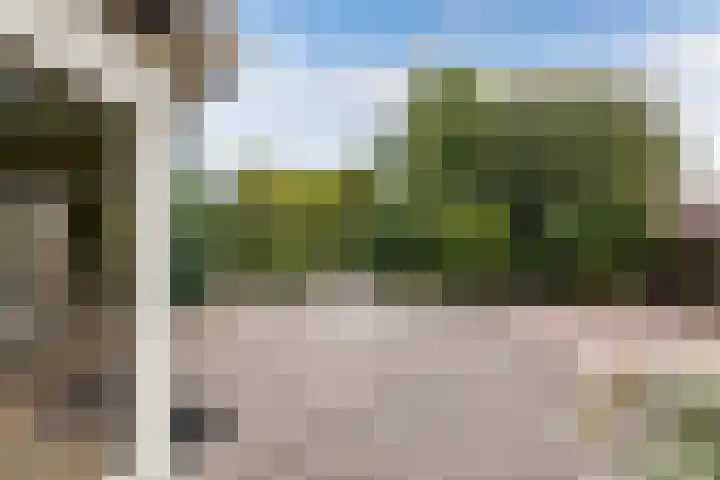 Master de Jongwei 12 De Tike thumbnail 63