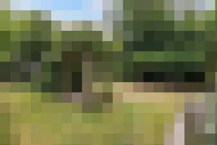 Master de Jongwei 12 De Tike thumbnail 64