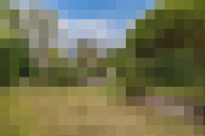 Master de Jongwei 12 De Tike thumbnail 67