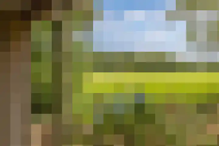 Master de Jongwei 12 De Tike thumbnail 70