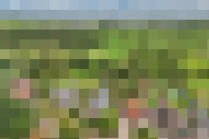Master de Jongwei 12 De Tike thumbnail 75