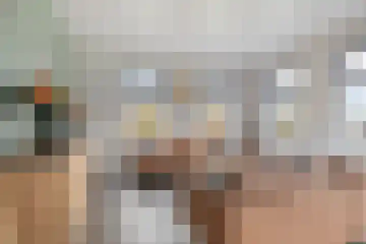 Master de Jongwei 15 De Tike thumbnail 11