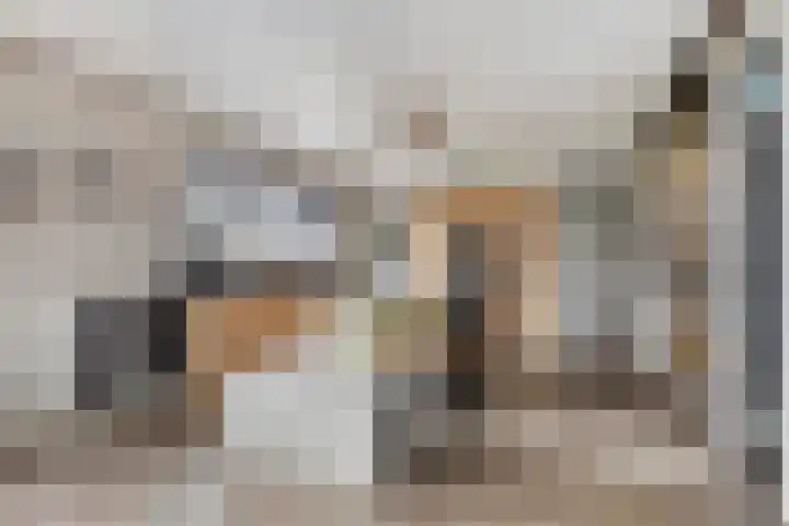 Master de Jongwei 15 De Tike thumbnail 14