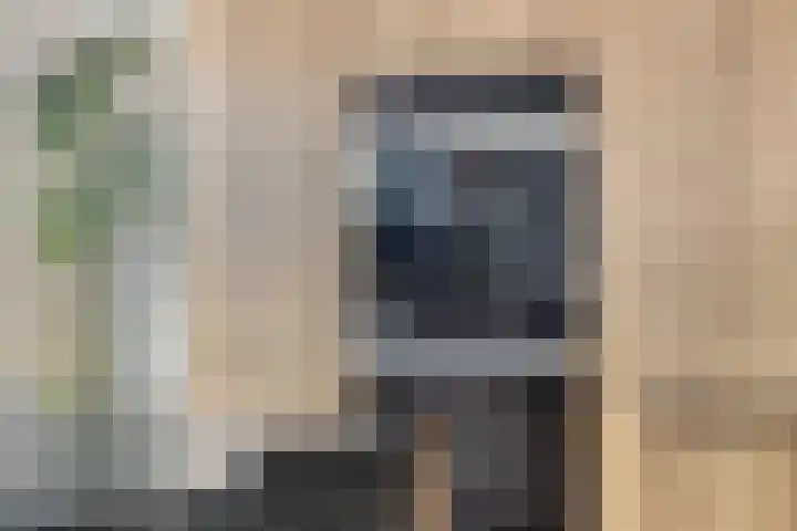 Master de Jongwei 15 De Tike thumbnail 16