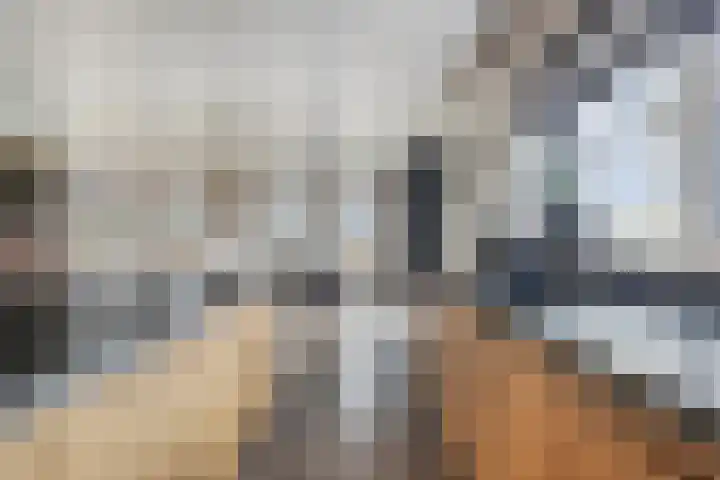 Master de Jongwei 15 De Tike thumbnail 17