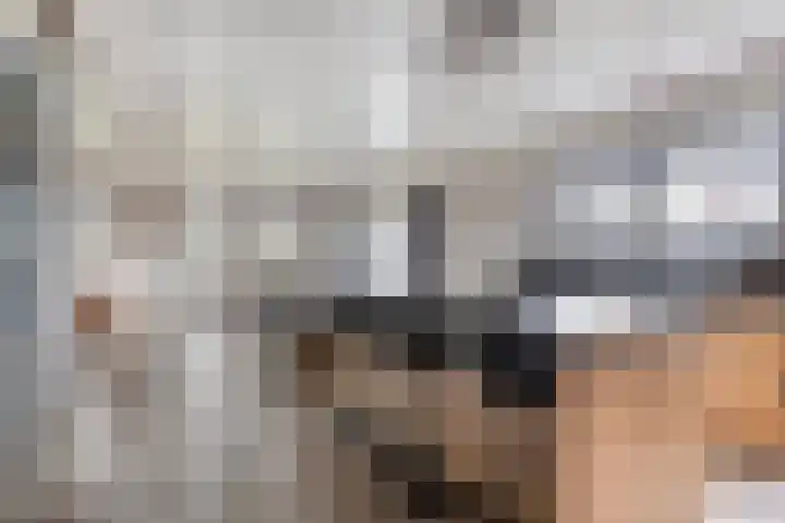 Master de Jongwei 15 De Tike thumbnail 19