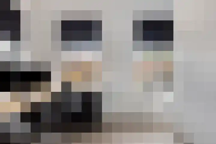Master de Jongwei 15 De Tike thumbnail 21