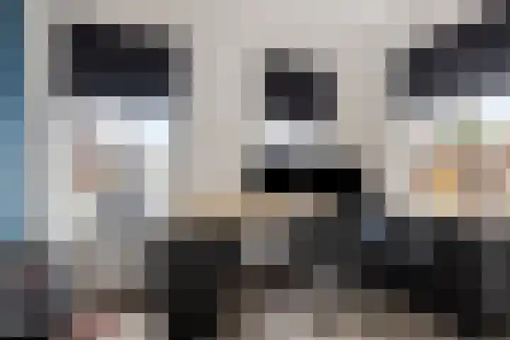 Master de Jongwei 15 De Tike thumbnail 22