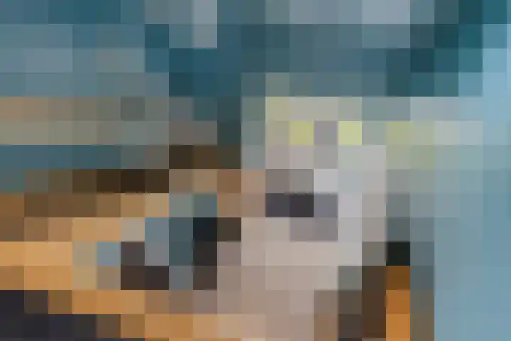 Master de Jongwei 15 De Tike thumbnail 24