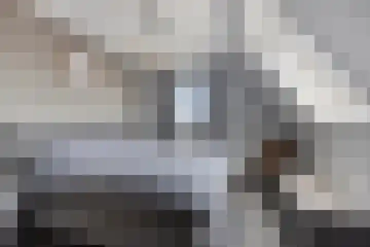 Master de Jongwei 15 De Tike thumbnail 26