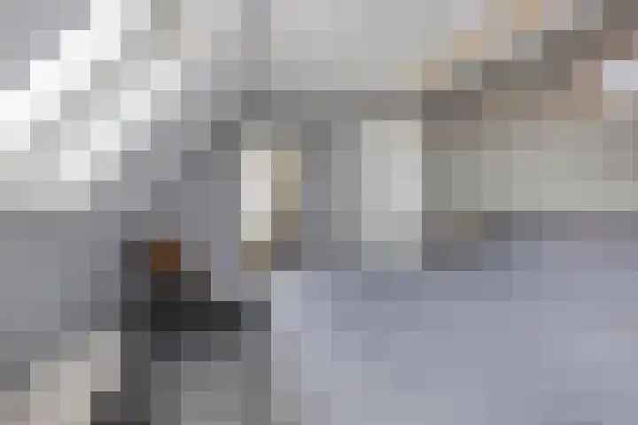 Master de Jongwei 15 De Tike thumbnail 27