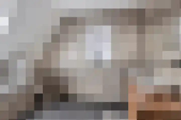 Master de Jongwei 15 De Tike thumbnail 30