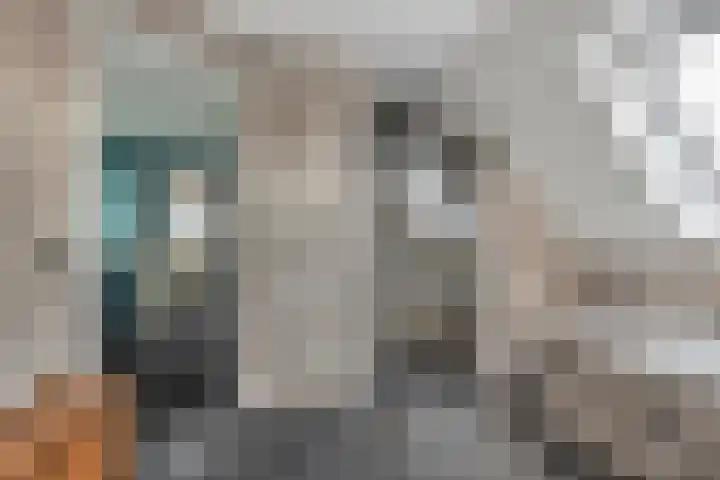 Master de Jongwei 15 De Tike thumbnail 32