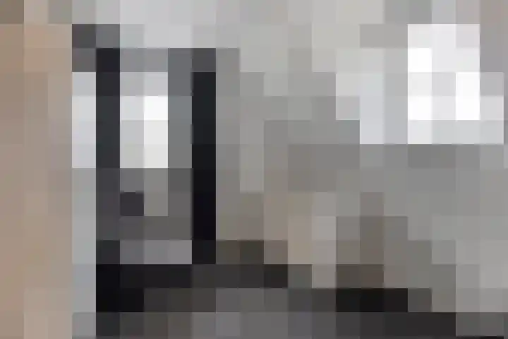 Master de Jongwei 15 De Tike thumbnail 35