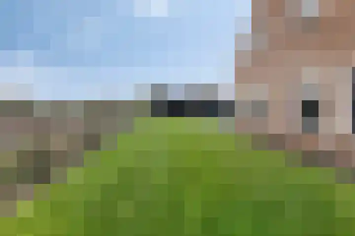 Master de Jongwei 15 De Tike thumbnail 40