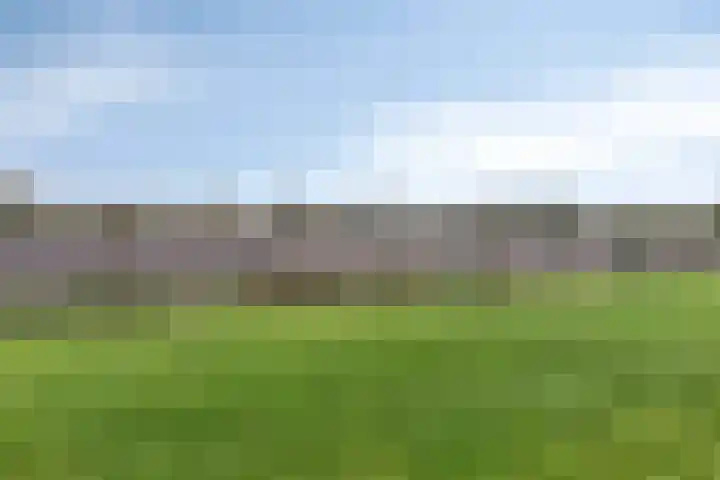 Master de Jongwei 15 De Tike thumbnail 41