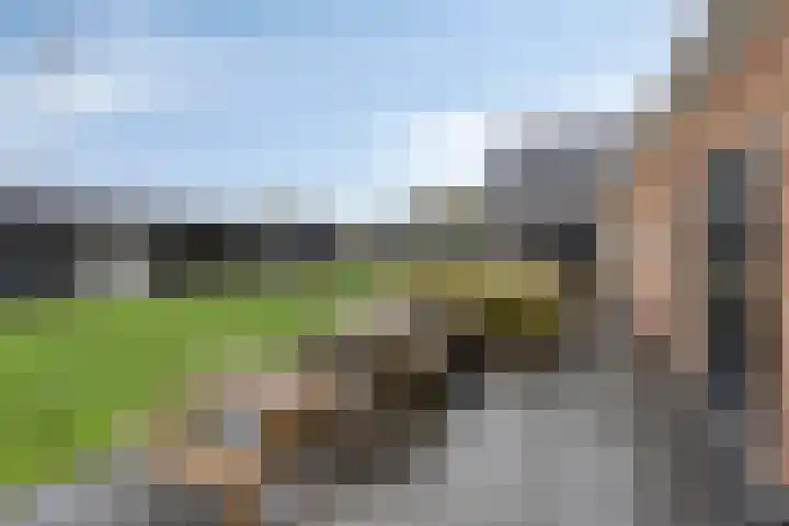 Master de Jongwei 15 De Tike thumbnail 42