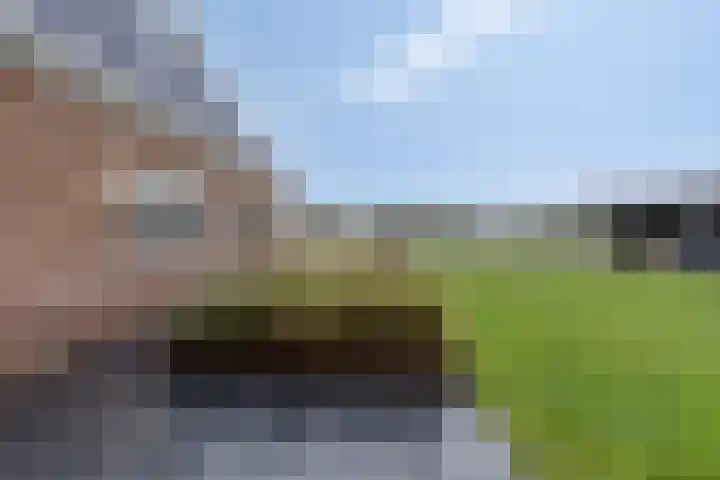 Master de Jongwei 15 De Tike thumbnail 44