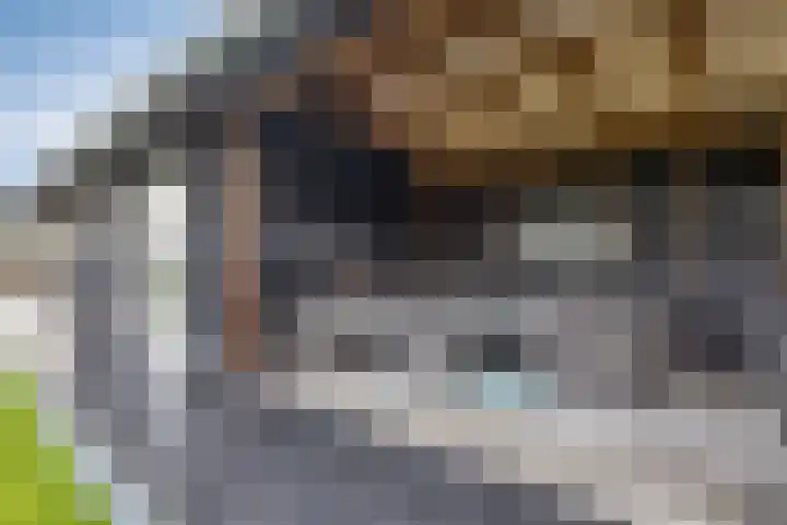 Master de Jongwei 15 De Tike thumbnail 47