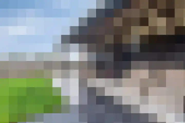 Master de Jongwei 15 De Tike thumbnail 48
