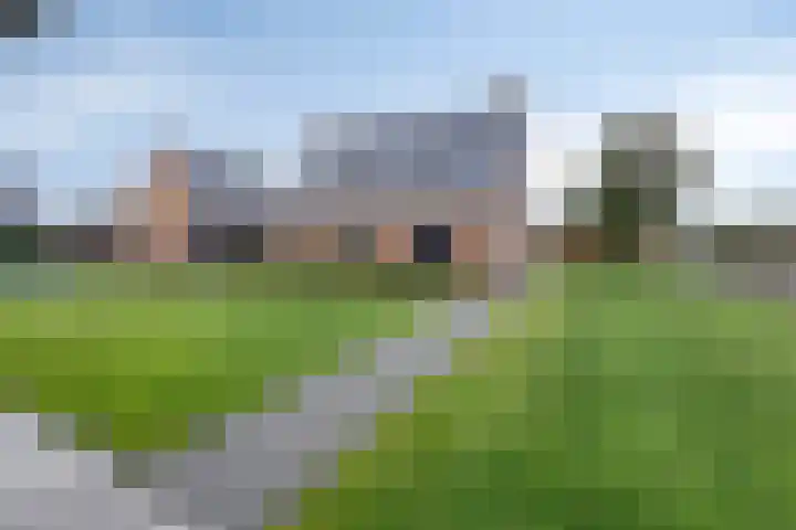 Master de Jongwei 15 De Tike thumbnail 49