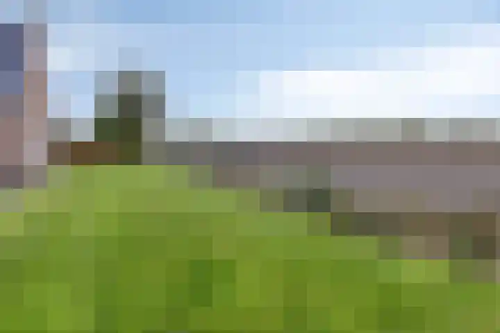 Master de Jongwei 15 De Tike thumbnail 51