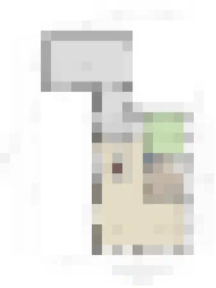 Master de Jongwei 15 De Tike thumbnail 52