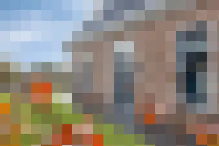 Master de Jongwei 15 De Tike thumbnail 6