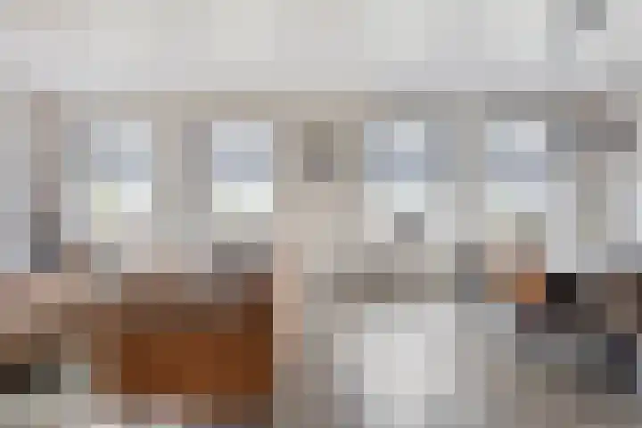 Master de Jongwei 15 De Tike thumbnail 9