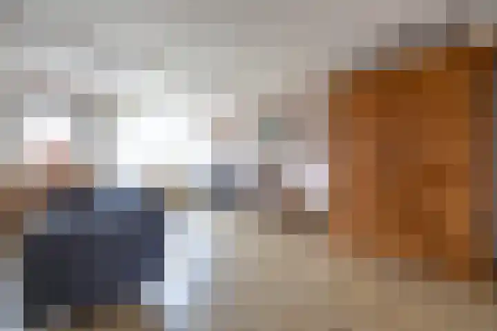 Master fan Loanstrjitte 14 Mitselwier thumbnail 10