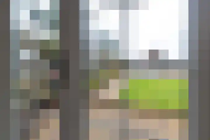 Master fan Loanstrjitte 14 Mitselwier thumbnail 16